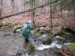 Ruth Bennett McDougal Dorrough; Hike Series Hiking NCT FLT M-08