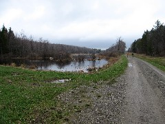 on Bill Morris Road; Hike Series Hiking NCT FLT M-08