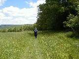 Ruth Bennett McDougal Dorrough; Hiking NCT FLT M08 Fox Hill Road