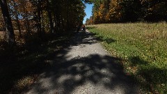 Jean Bub; Ruth Bennett McDougal Dorrough; NCT; FLT; M-08; Bill Morris Forest Road, NY