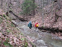 Ruth Bennett McDougal Dorrough; Lyn Jacobs; Hike Series Hiking NCT FLT M-09