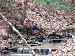 Lyn Jacobs; Ruth Bennett McDougal Dorrough; Hike Series Hiking NCT FLT M-09