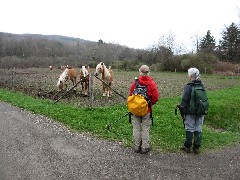 Horses; Lyn Jacobs; Ruth Bennett McDougal Dorrough; Hike Series Hiking NCT FLT M-09