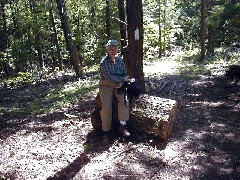 Ruth Bennett McDougal Dorrough; Hiking NCT FLT M09 Sterns Forest Road