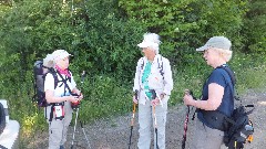 Ruth Bennett McDougal Dorrough; Jean Bub; Lyn Jacobs; NCT; FLT; M-09