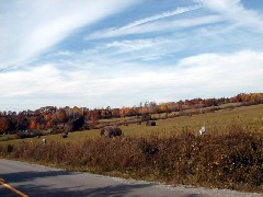 Finger Hiking Trail;