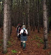 Steuben County Hike Series M-10 FLT NCT Hiking