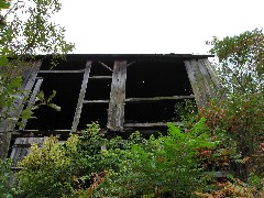 Steuben County Hike Series M-10 FLT NCT Hiking; old barn