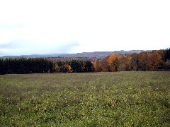 Finger Hiking Trail FLT Tobes Hill Lakes M04