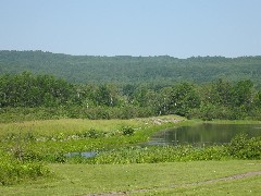 Steuben County Hike Series M-11 FLT NCT Hiking