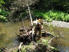 Jean Bubb; Steuben County Hike Series M-11 FLT NCT Hiking