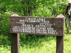 sign to Irene s Campsite; Steuben County Hike Series M-11 FLT NCT Hiking