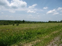 Steuben County Hike Series M-11 FLT NCT Hiking