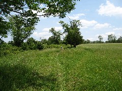 Steuben County Hike Series M-11 FLT NCT Hiking