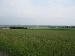 Cochrane Road; Steuben County Hike Series M-11 FLT NCT Hiking