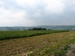 Cochrane Road; Steuben County Hike Series M-11 FLT NCT Hiking