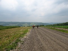 Cochrane Road; Steuben County Hike Series M-11 FLT NCT Hiking