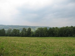 Cochrane Road; Steuben County Hike Series M-11 FLT NCT Hiking