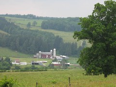 Cochrane Road; Steuben County Hike Series M-11 FLT NCT Hiking