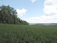 Steuben County Hike Series ; Knight Settlement Road to Cochrane Road