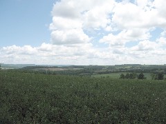 Steuben County Hike Series; Knight Settlement Road to Cochrane Road