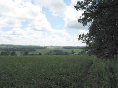 Steuben County Hike Series; Knight Settlement Road to Cochrane Road