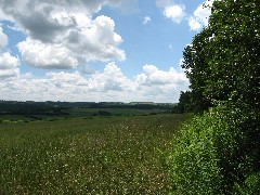 Steuben County Hike Series; Knight Settlement Road to Cochrane Road