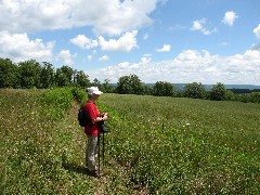 Ruth Bennett McDougal Dorrough; Steuben County Hike Series; Knight Settlement Road to Cochrane Road