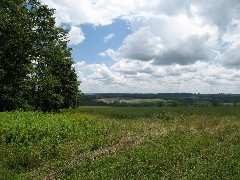 Steuben County Hike Series; Knight Settlement Road to Cochrane Road