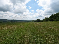 Steuben County Hike Series; Knight Settlement Road to Cochrane Road