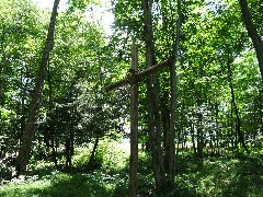 Steuben County Hike Series; Knight Settlement Road to Cochrane Road; Wooden cross