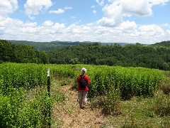 Ruth Bennett McDougal Dorrough; Steuben County Hike Series; Knight Settlement Road to Cochrane Road