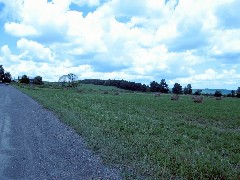 Steuben County Hike Series; Knight Settlement Road to Cochrane Road