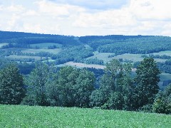 Steuben County Hike Series; Cochrane Road