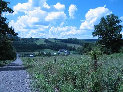 Steuben County Hike Series; Cochrane Road