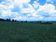 Steuben County Hike Series; Cochrane Road