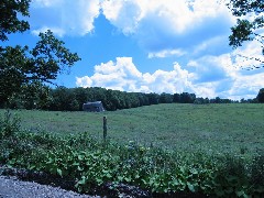 Steuben County Hike Series; Cochrane Road