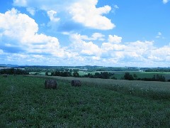 Steuben County Hike Series; Cochrane Road