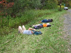 Pigtail Hollow and Urbana State Forests; Group Hike led by Irene Szabo