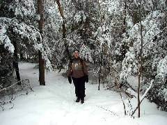 Ruth Bennett McDougal Dorrough; FLT snow