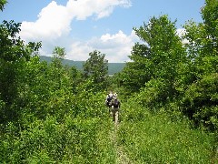 Steuben County Hike Series M-12 FLT NCT Hiking