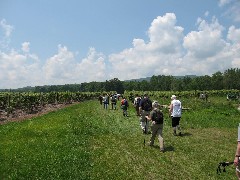 Steuben County Hike Series M-12 FLT NCT Hiking