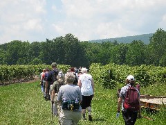 Steuben County Hike Series M-12 FLT NCT Hiking