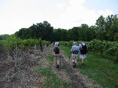 Steuben County Hike Series M-12 FLT NCT Hiking