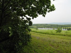 Steuben County Hike Series M-12 FLT NCT Hiking