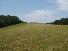 Steuben County Hike Series M-12 FLT NCT Hiking; Peace Weavers