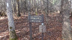 sign Finger Lakes
North Country Trails
Penn County
Catskills 
Road 16
3 4 Miles to Sutryk Road
7 1 Miles to Moss Hill Leanto