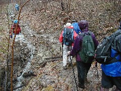 Steuben County Hike M-13 FLT NCT Hiking