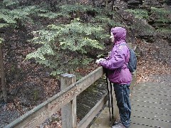 Ruth Bennett McDougal Dorrough; Hiking NCT FLT M14 Glen Creek