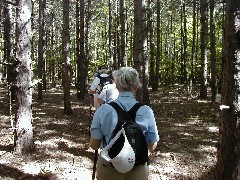 FLT; Glen Creek; Schulyer County Hike Series; the turtles